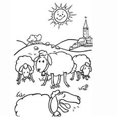 Sheep eating coloring page