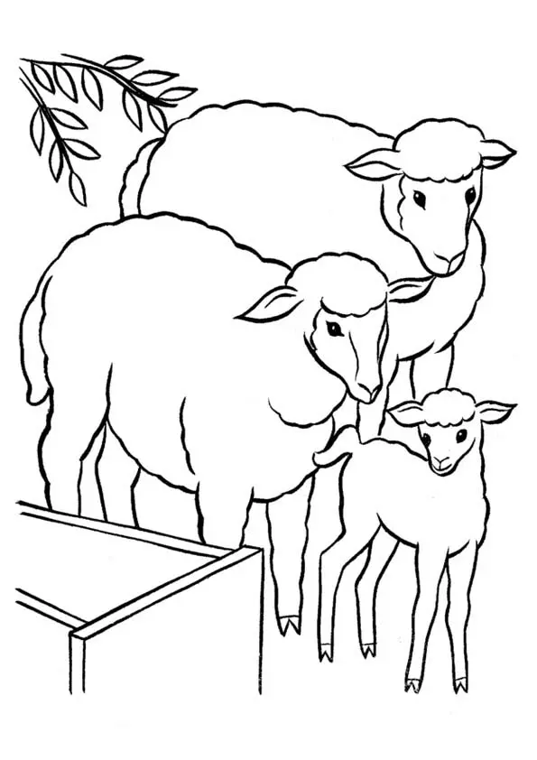 The-Sheep-With-Lamb-coloring