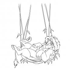 The-Simba-on-a-Hammock-17