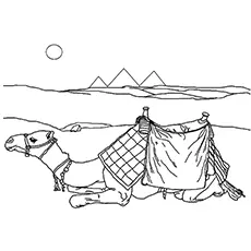Sitting Camel coloring page