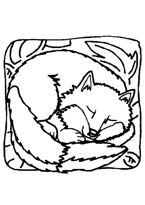 The-Sleeping-Fox