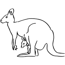 Kangaroo with joey coloring page