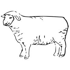 Stationery Sheep coloring page