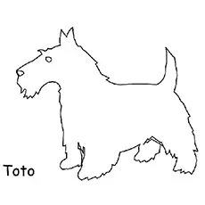 Toto is Dog from Wizard of OZ coloring page