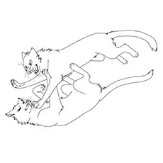 Fighting warrior cats coloring page