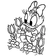 Coloring Sheets of Webby Duck