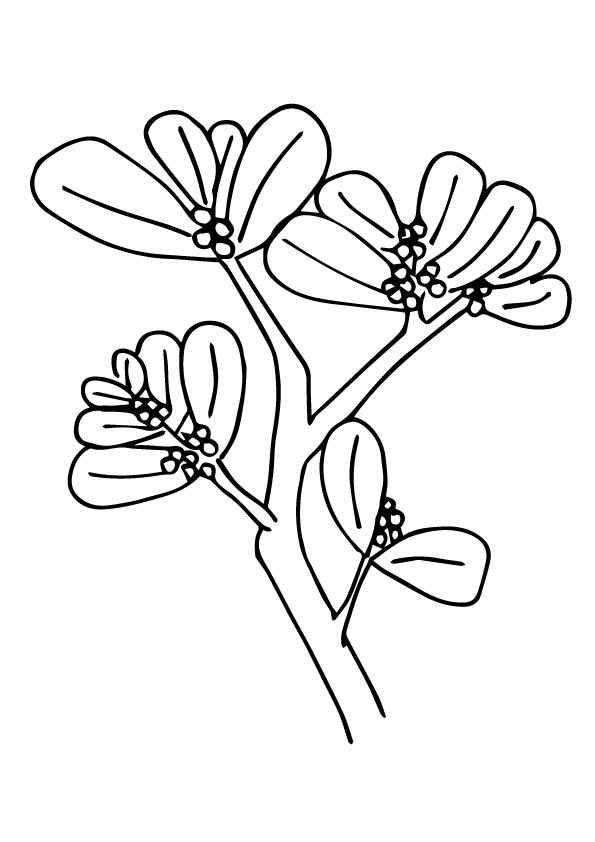The-a-mistletoe
