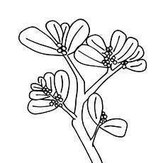 Mistletoe Sign of Peace Coloring Pages