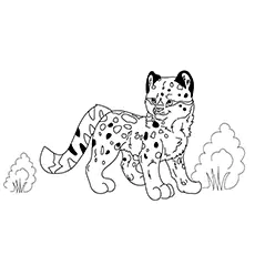The Baby Snow Leopard coloring page
