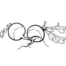 Coloring Page of Fresh Beetroots