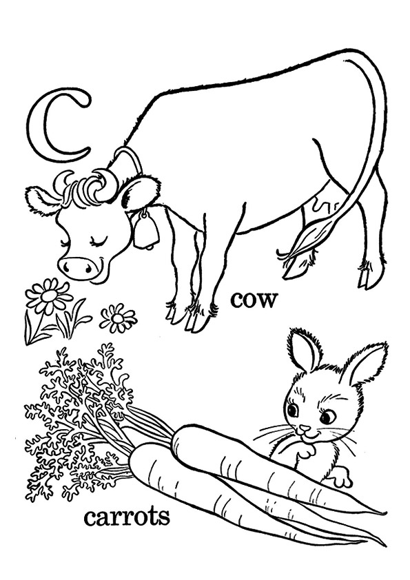 The-c-for-carrots-and-cows