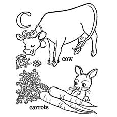 The-c-for-carrots-and-cows