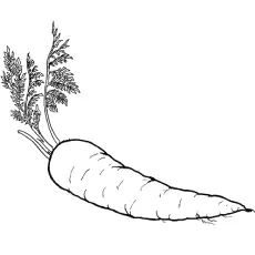 Uprooted Carrot Coloring Page
