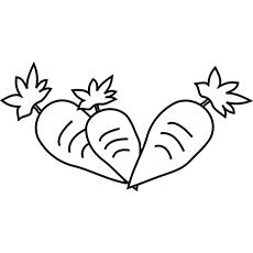 530 Carrot Coloring Pages Printable , Free HD Download