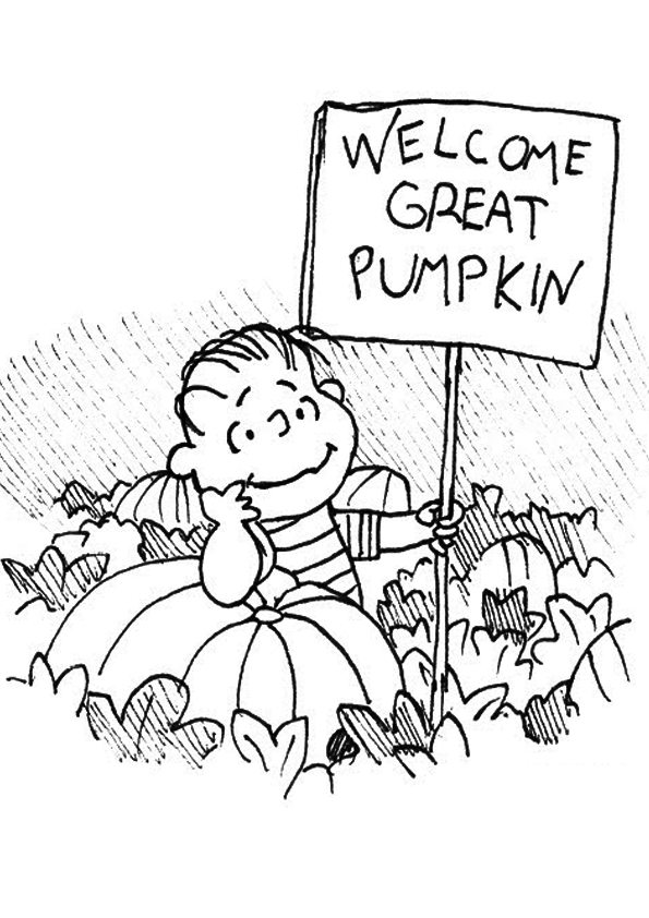 The-charlie-brown-and-his-pumpkin-patch