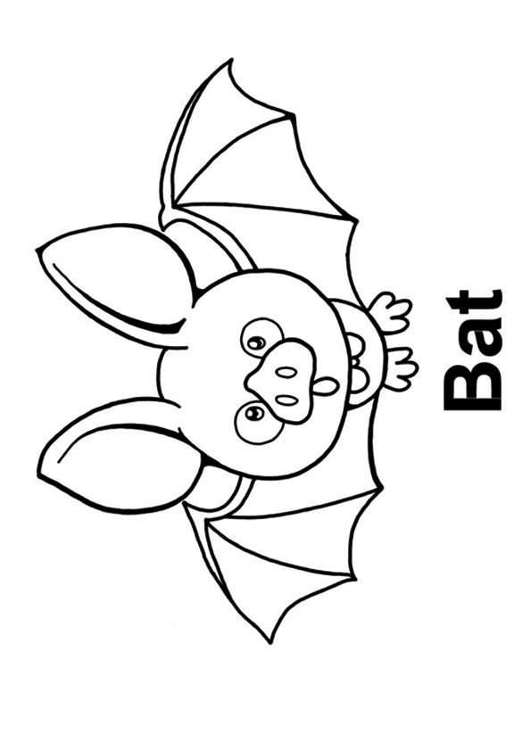 The-cute-bat1