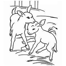 Goat Journal Coloring Pages 2019 - Backyard Goats