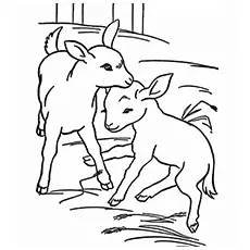 Cute little baby coat in farm coloring page