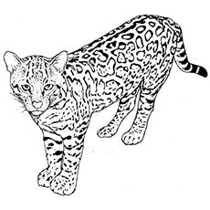 Download Top 25 Free Printable Leopard Coloring Pages Online