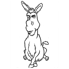 The-donkey