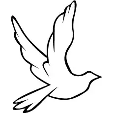 Dove Sign of Peace Coloring Pages_image