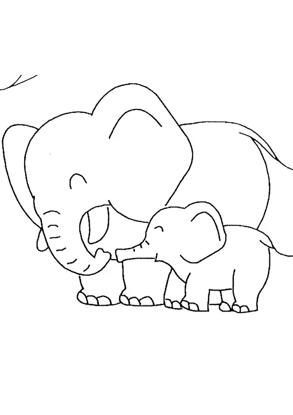 The-elephant-and-its-cute-baby