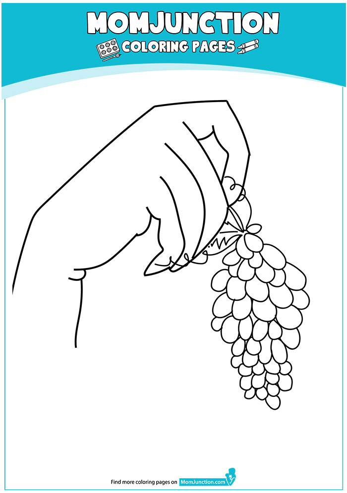 The-fingers-holding-grapes-16