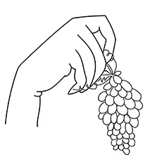 Fingers Holding Grapes coloring page