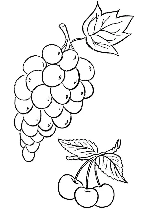 The-full-form-of-grapes-color-page