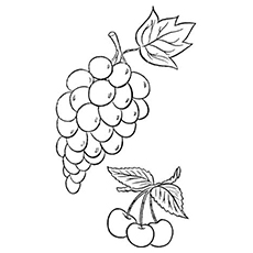 Full Form Of Grapes coloring page