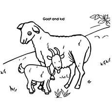 Goat family coloring page