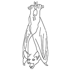Hang On Bat Coloring Pages