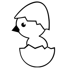 Hatched Chick Coloring Page