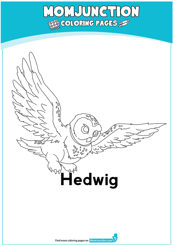 The-hedwig-16