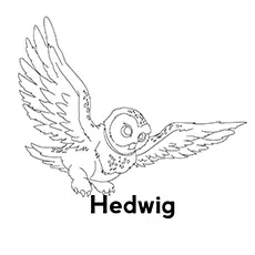 The Hedwig