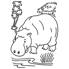 830 Jungle Animals Coloring Pages Free Download Pictures