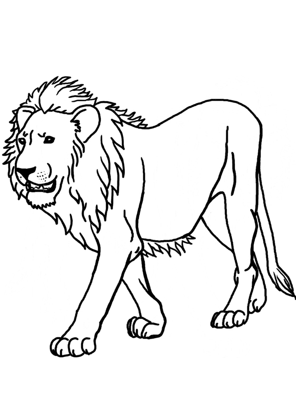 The-majestic-lion1