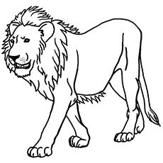 77 Coloring Pages For Jungle Animals , Free HD Download