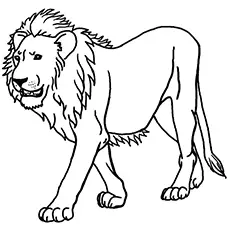 The Majestic Lion Jungle Animal coloring page