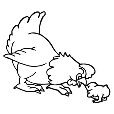 Mother Hen playing with Chicks Coloring Pages