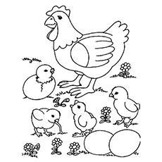 Mother Hen And Chicks Coloring Page