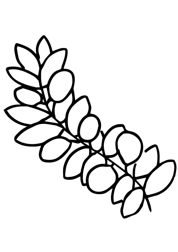The-olive-a-branch