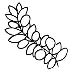 Olive Branch Sign of Peace Coloring Pages