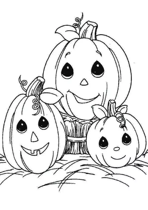 The-pumpkin-family