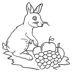 Rabbit Loves Grapes coloring page