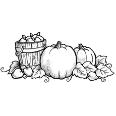 The Ready to be Carved into lanterns Pumpkin patch coloring page_image