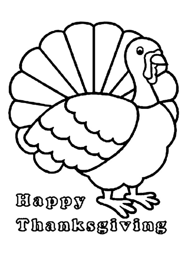 The-thanksgiving-turkey