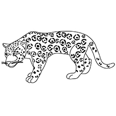 The Rainforest Leopard coloring page