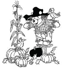 The-winnie-the-scarecrow