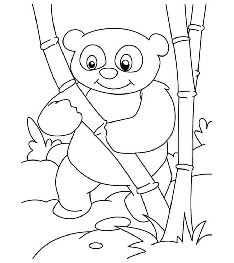 Panda Bear Coloring Pages 4